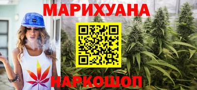сатива Краснокаменск